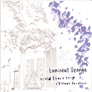 Luminous Orange 